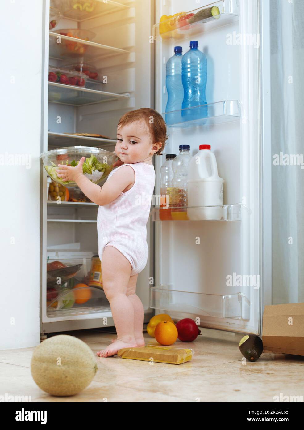 Verrou-Réfrigérateur Smart-Lock™